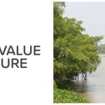 We Value Nature