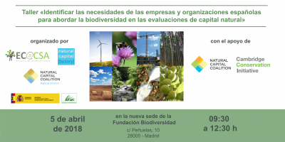 «Identificar las necesidades de las empresas españolas para abordar la biodiversidad en las evaluaciones de capital natural»