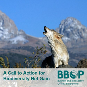 Llamada a la acción de la Comunidad de Prácticas del BBOP para a impulsar mayores esfuerzos que aseguren la «ganancia neta de biodiversidad» en el contexto del desarrollo.