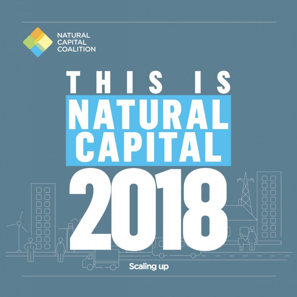 Esto es capital natural 2018