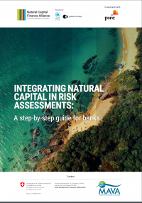 Integración capital natural en la evaluación de riesgos