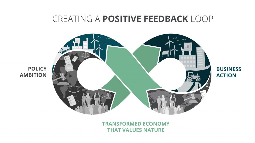 positive feedback loop Business for Nature COP25 climate change