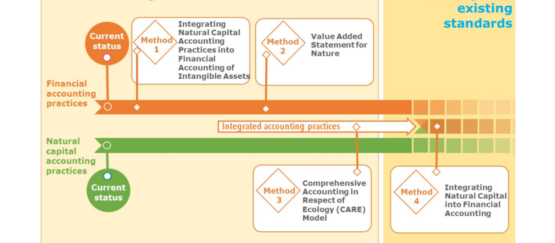 2020_05_04_Improving nature visibility in financial accounting_2